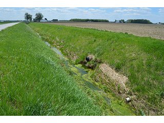 Property photo 22 - 77.4 Productive, Tillable Acres Land Auction